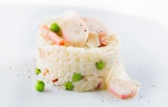 Risotto de Pota