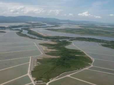 Aquicultura sustentável e certificada