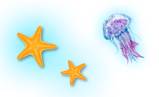 Estrelas do mar e alforreca